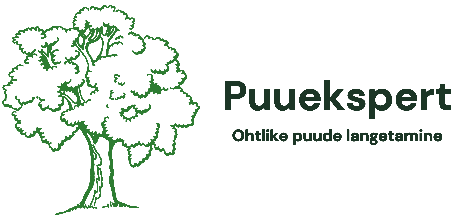 Puuekspert