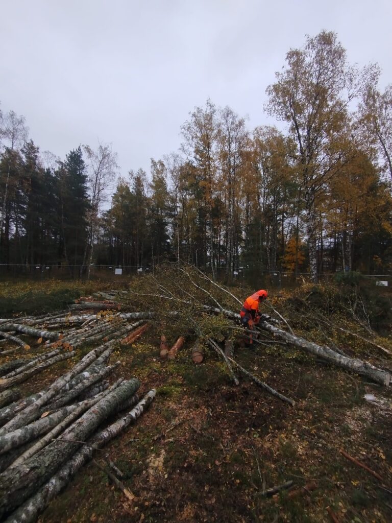 Puiduhake.com meeskond raadamistöödel – ekskavaator ja mootorsaag