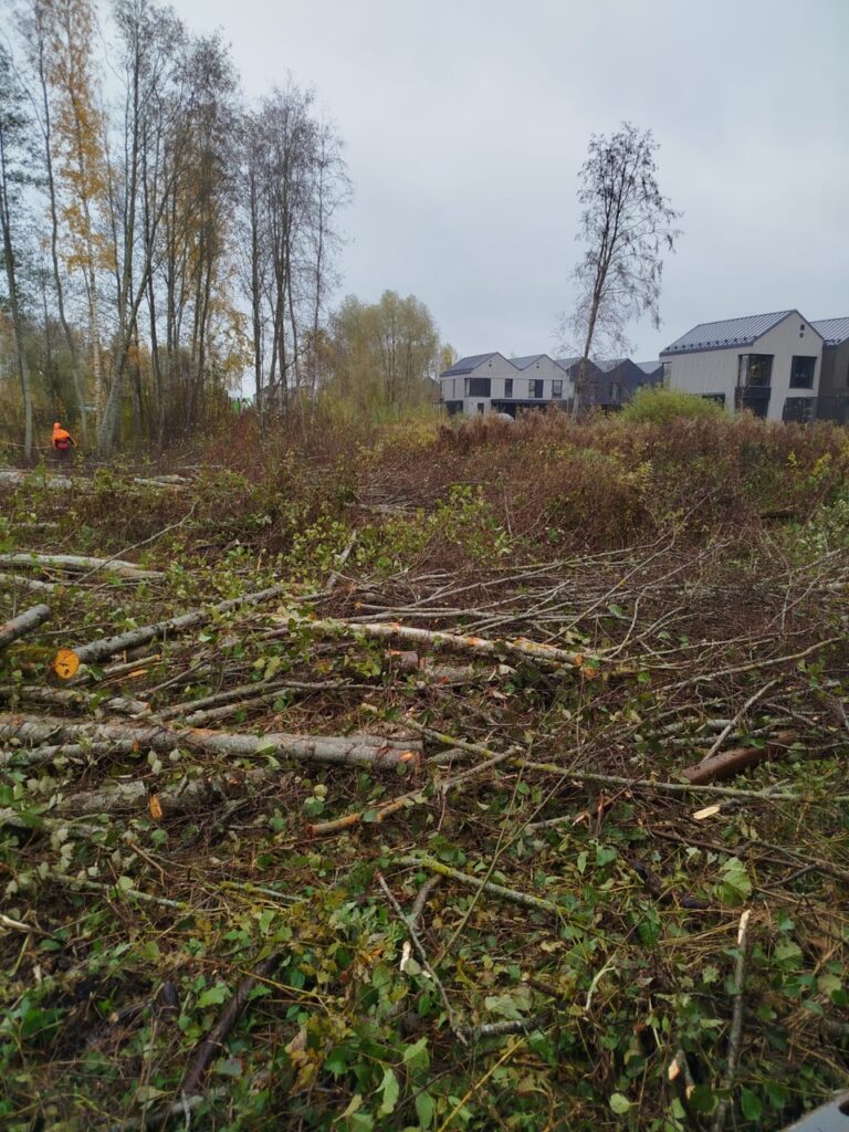 Selektiivne raadamine elamupiirkonna krundil – Puiduhake.com